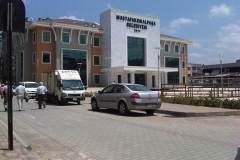 IMG00035-20110615-1240